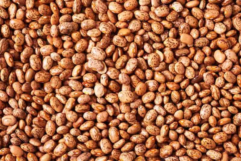 قیمت لوبیا چیتی درجه یک کیلویی + خرید باور نکردنی